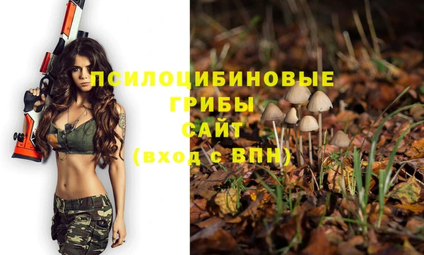 прущие грибы Ладушкин